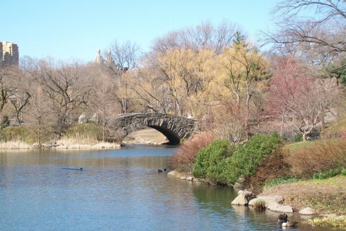 Stukje Central Park 