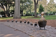 The Boston Common Ducks