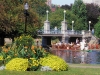 De beroemde Boston Swan Boats